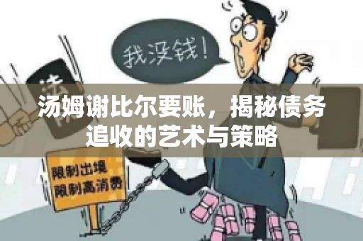 汤姆谢比尔要账，揭秘债务追收的艺术与策略