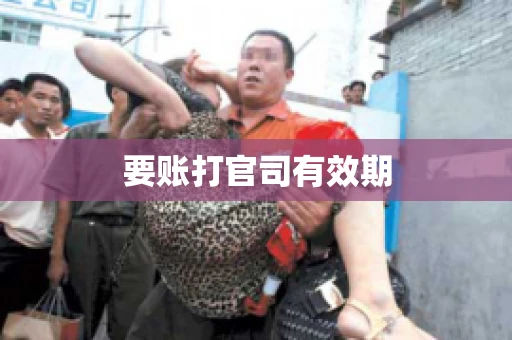 要账打官司有效期
