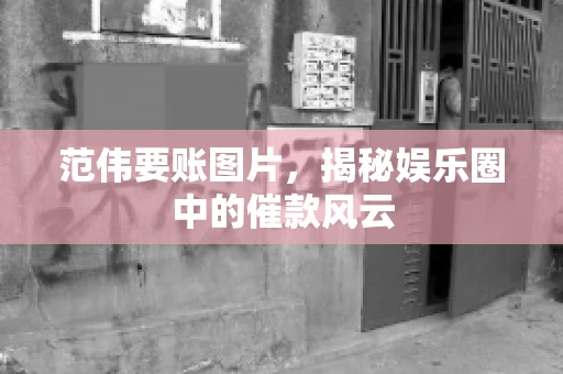 范伟要账图片，揭秘娱乐圈中的催款风云