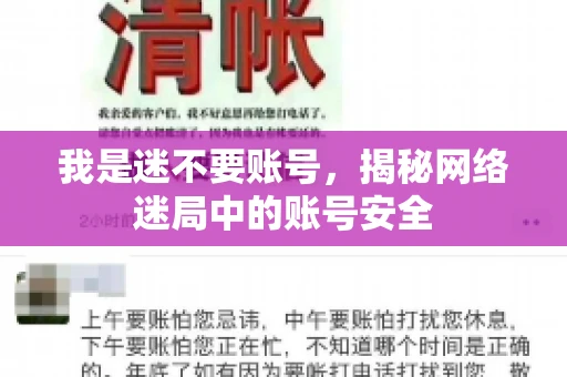 我是迷不要账号，揭秘网络迷局中的账号安全