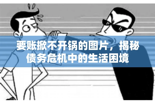 要账掀不开锅的图片，揭秘债务危机中的生活困境