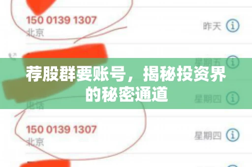 荐股群要账号，揭秘投资界的秘密通道