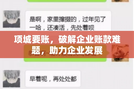 项城要账，破解企业账款难题，助力企业发展