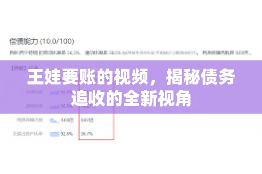 王娃要账的视频，揭秘债务追收的全新视角