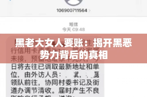 黑老大女人要账：揭开黑恶势力背后的真相