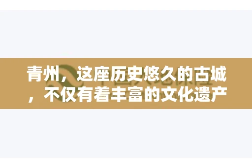 青州，这座历史悠久的古城，不仅有着丰富的文化遗产，也是商业活动频繁的地方。对于许多企业来说，应收账款的管理是日常运营中不可或缺的一环。那么，青州那里有要账的公司呢？今天，我们就来聊聊这个话题。