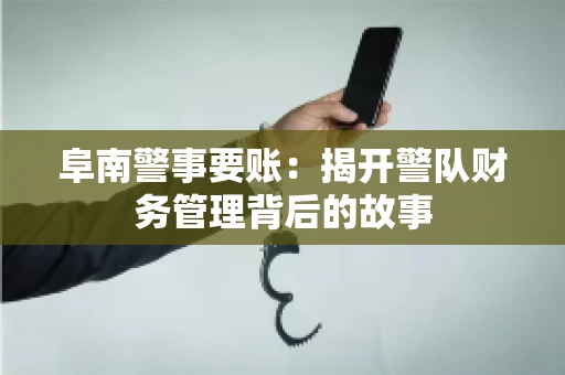 阜南警事要账：揭开警队财务管理背后的故事