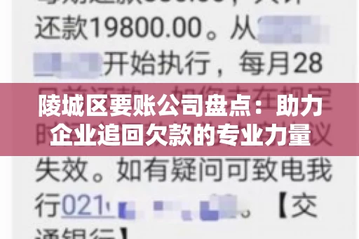 陵城区要账公司盘点：助力企业追回欠款的专业力量