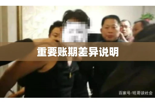 重要账期差异说明