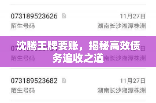 沈腾王牌要账，揭秘高效债务追收之道