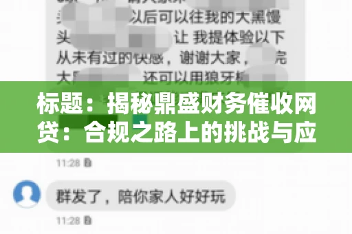 标题：揭秘鼎盛财务催收网贷：合规之路上的挑战与应对