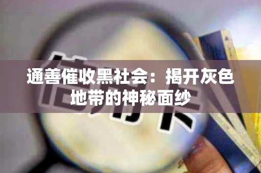 通善催收黑社会：揭开灰色地带的神秘面纱