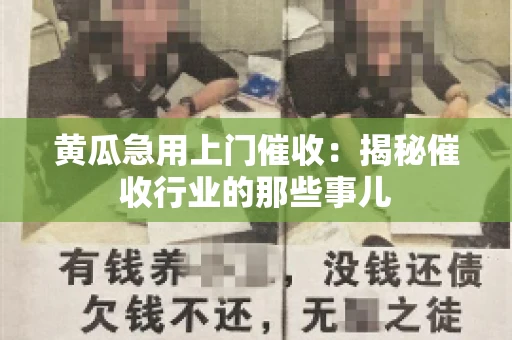 黄瓜急用上门催收：揭秘催收行业的那些事儿