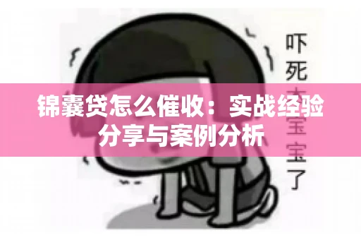 锦囊贷怎么催收：实战经验分享与案例分析
