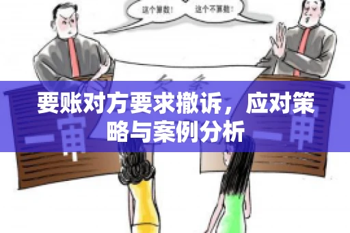 要账对方要求撤诉，应对策略与案例分析